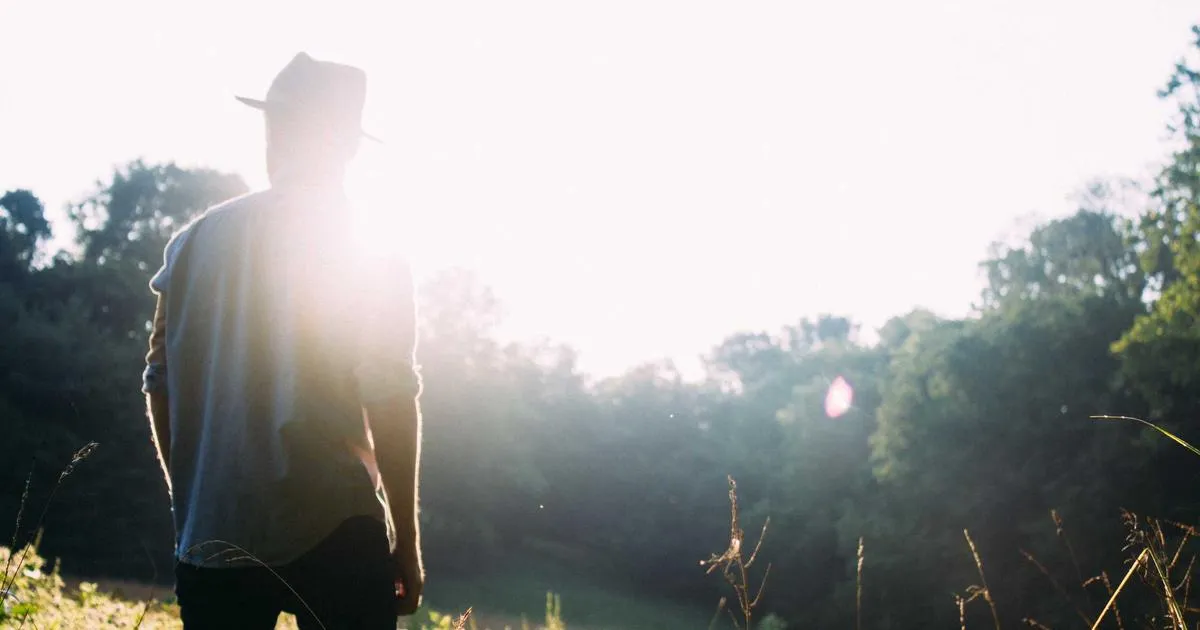 Matter Smart Home Devices: The Complete Guide for 2026