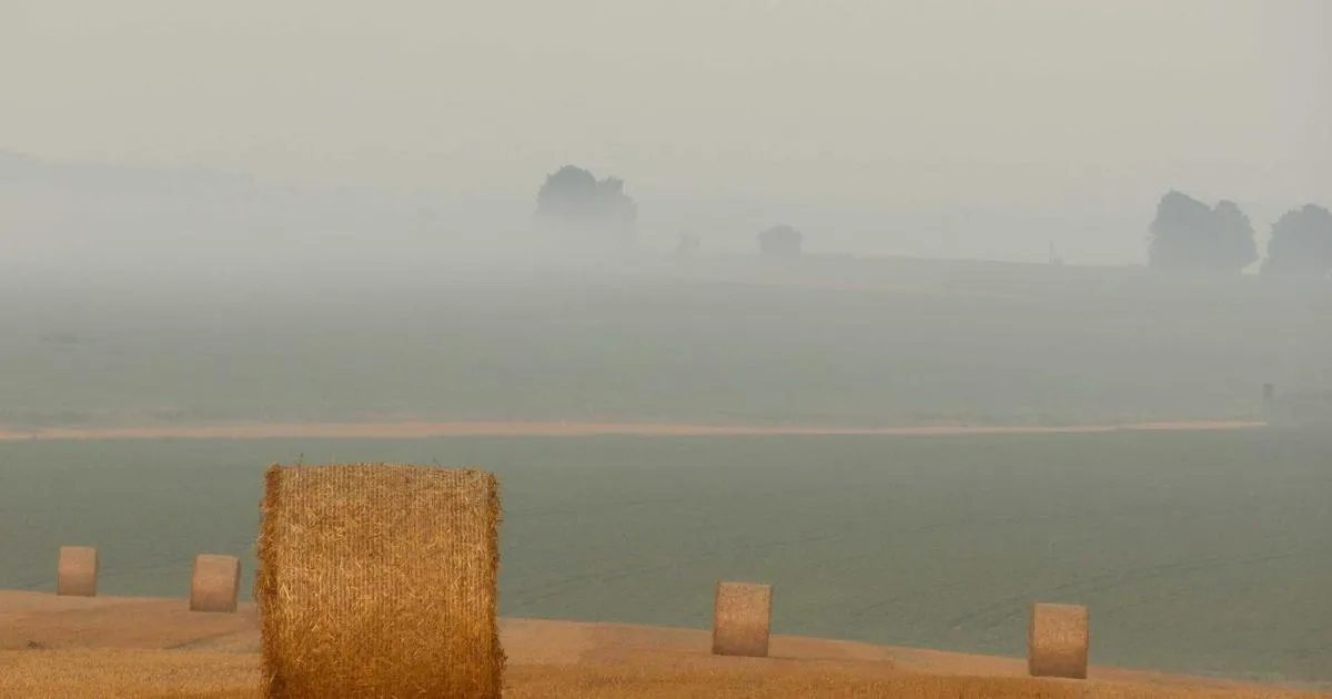 Nest Compatibility Checker: Will It Work With Your HVAC?