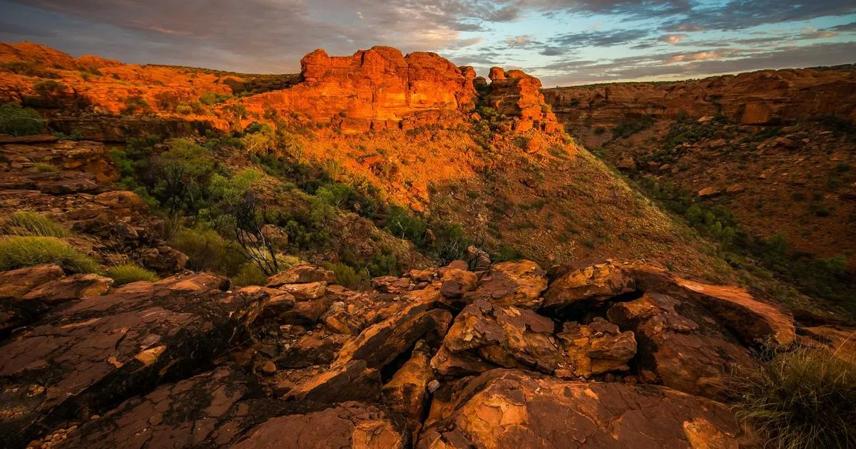 Ring Devices Compatibility Chart: The Ultimate 2026 Guide