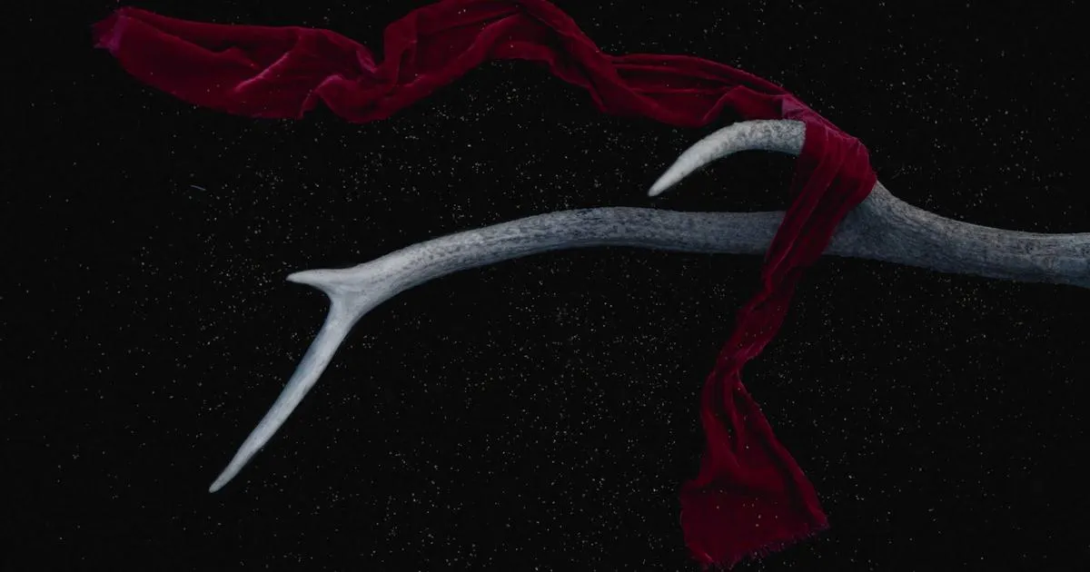 Do Smart Thermostats Really Save Money? The Honest Truth